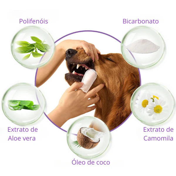 Removedor de tártaro e higienizador | PETCLEAN